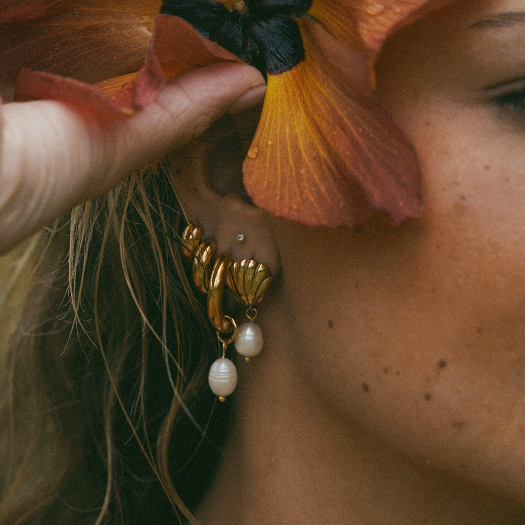 Dawnshell Earrings (Bundle)